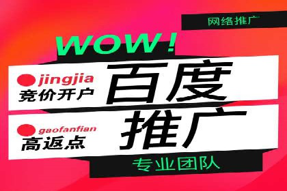 某某sem代运营推广公司成功案例：提升品牌曝光率